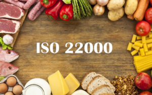 qms iso 22000