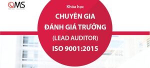 lead auditor